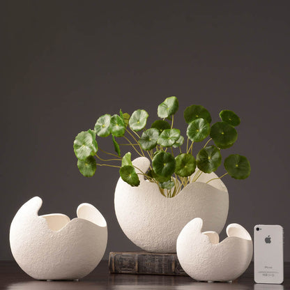 Base ceramica kiwi