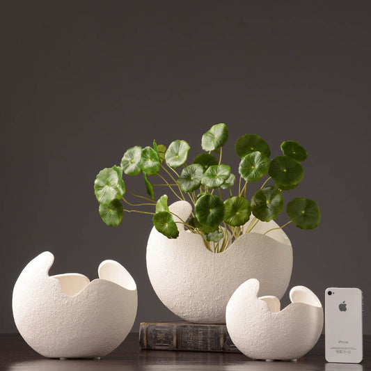Base ceramica kiwi