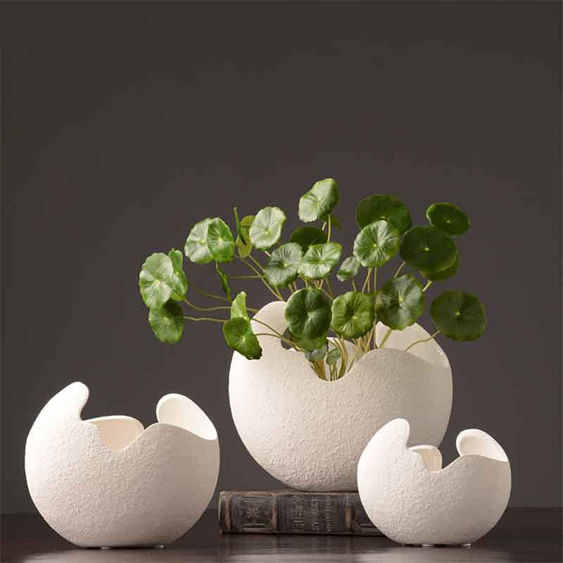 Base ceramica kiwi