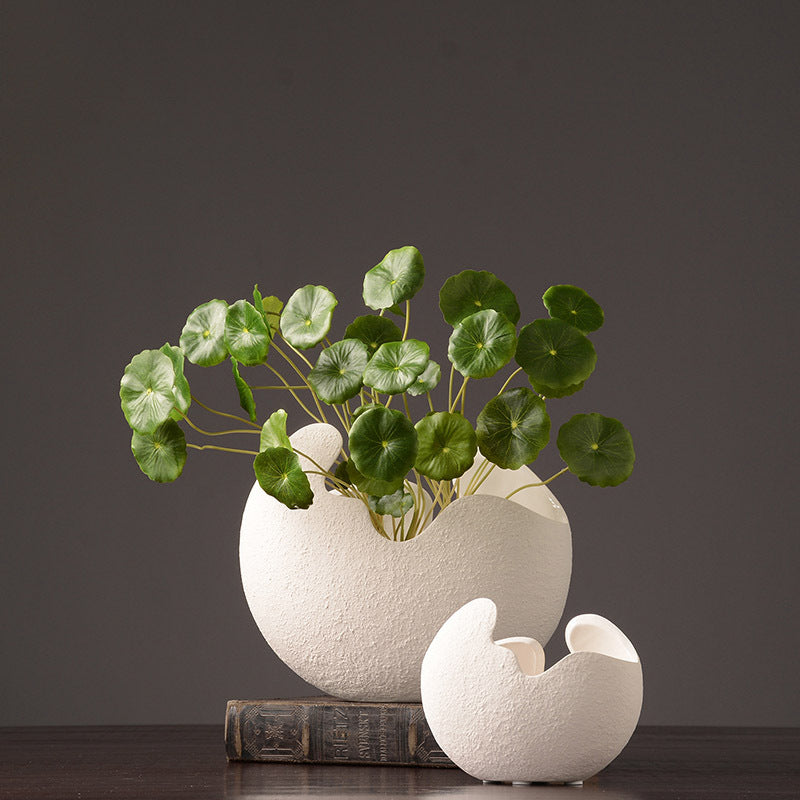 Base ceramica kiwi